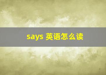 says 英语怎么读